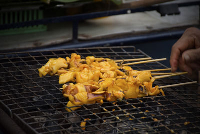 Close-up of person preparing food on barbecue grill