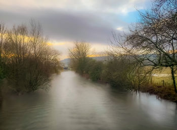 Scenic view of river amidst trees against sky