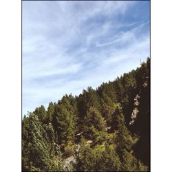 Scenic view of landscape against cloudy sky