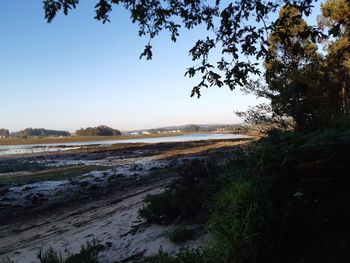 Scenic view of landscape against clear sky