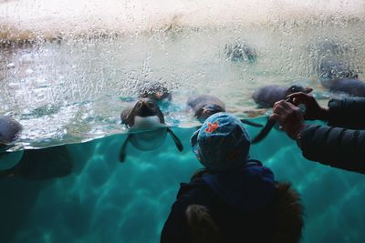 Father and son looking at animals in aquarium