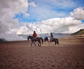 Horses riding horse