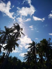 Low angle view of palm trees against blue sky