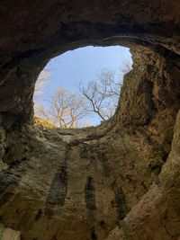 Low angle view of plants seen through hole