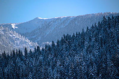 Panoramic view of snowcapped mountains against clear sky