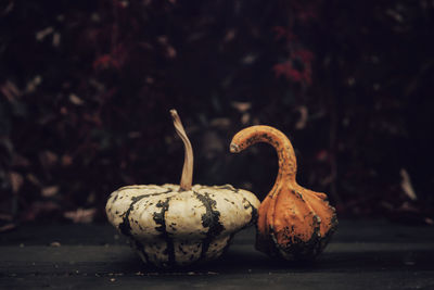 Close-up of pumpkin on table