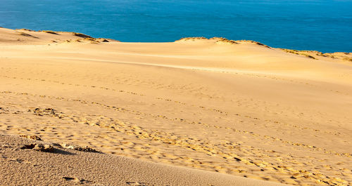 Footprints on sand at beach