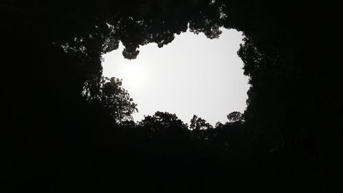 Low angle view of silhouette trees against clear sky