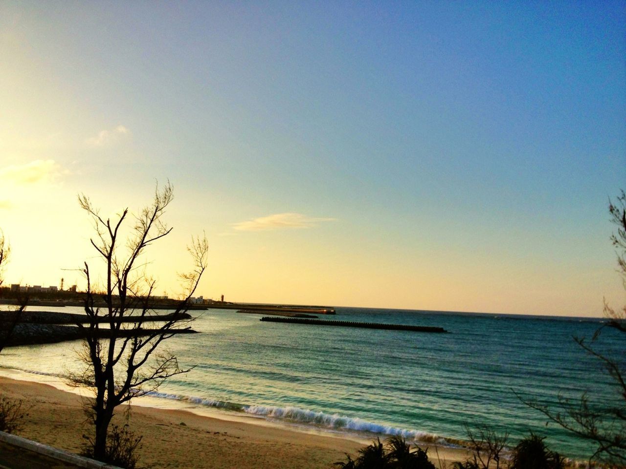 sea, horizon over water, water, beach, tranquil scene, tranquility, scenics, shore, beauty in nature, sunset, sand, nature, sky, idyllic, coastline, tree, copy space, calm, outdoors, remote