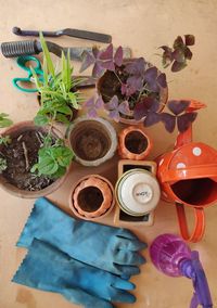 High angle view of potted plants on table