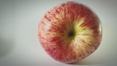 Close-up of red fruit over white background