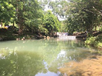 Scenic view of lake in forest