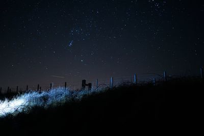 Low angle view of star field against sky at night