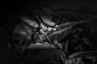 Close-up of hand holding leaf