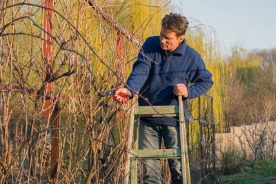 Man on wooden stairs cut vine plants with a pliers, on a spring