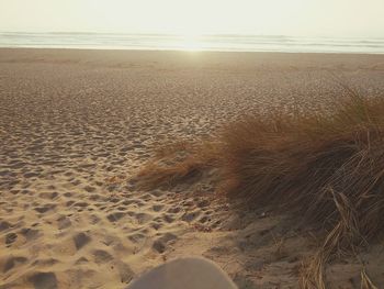 Scenic view of beach against sky during sunset