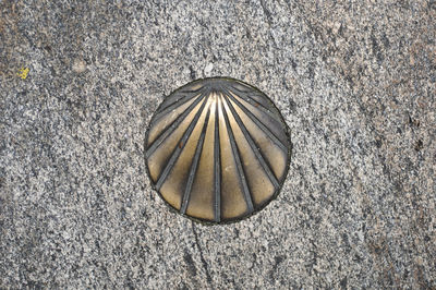 High angle view of umbrella on land