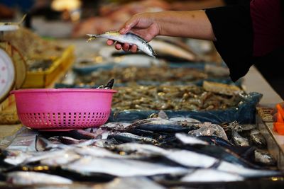 Close-up of hand holding fish at market