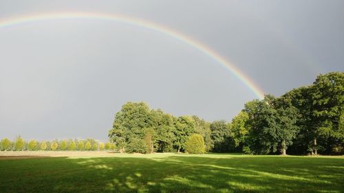 Scenic view of rainbow over trees on field against sky