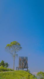 Trees on field against clear blue sky