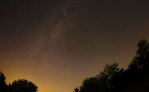 Low angle view of silhouette trees against star field at night