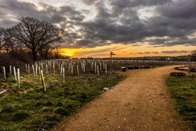 Scenic view of field against sky during sunset