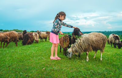 Girl holding grass standing by sheep
