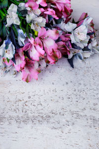 High angle view of pink flowering plant