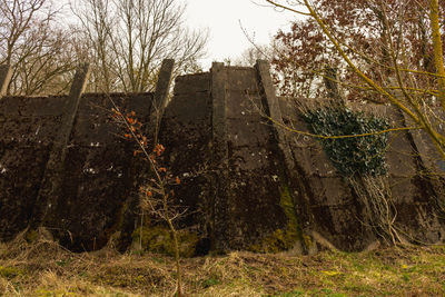 View of abandoned building