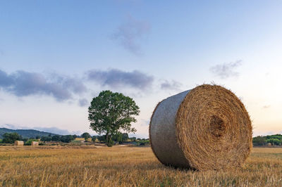 Rural village with straw bales at sunset on the mediterranean coast