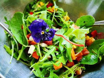 High angle view of chopped vegetables in plate