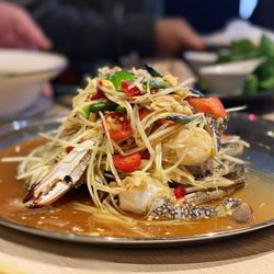 Close-up of food served in plate