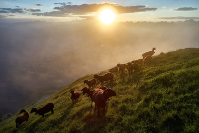 Scenic view of landscape during sunset