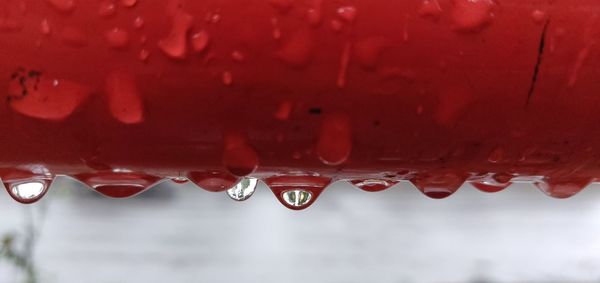 Close-up of raindrops on ice