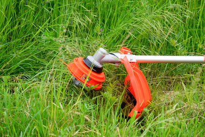 High angle view of fire hydrant on field