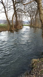 River amidst bare trees against sky