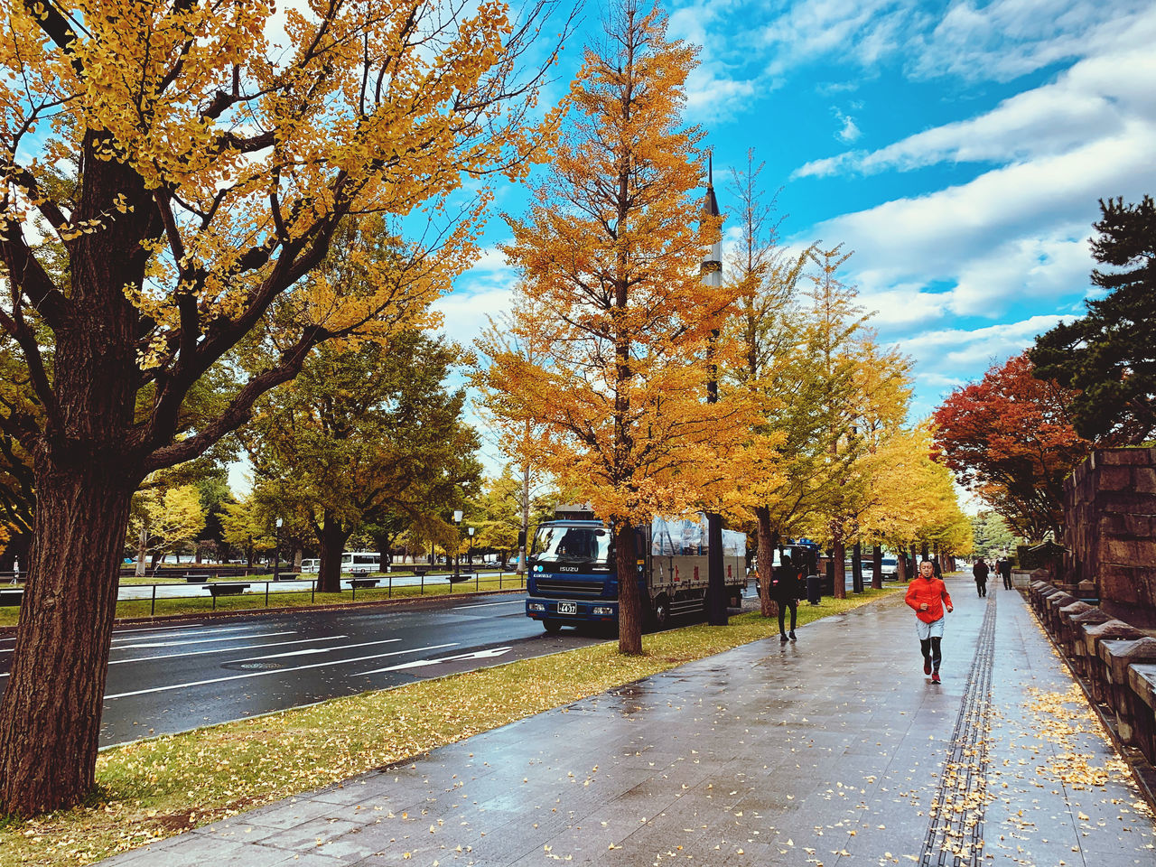 TREES BY WET STREET IN CITY DURING AUTUMN