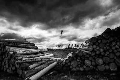 Stack of logs on field against sky