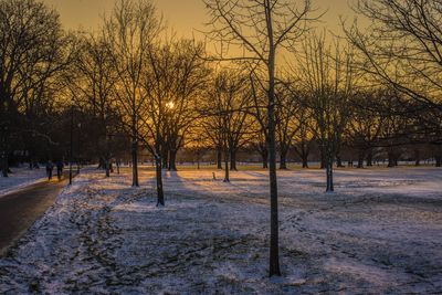 Trees on snow covered field against sky during sunset