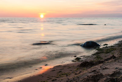 Scenic view of sunset over sea