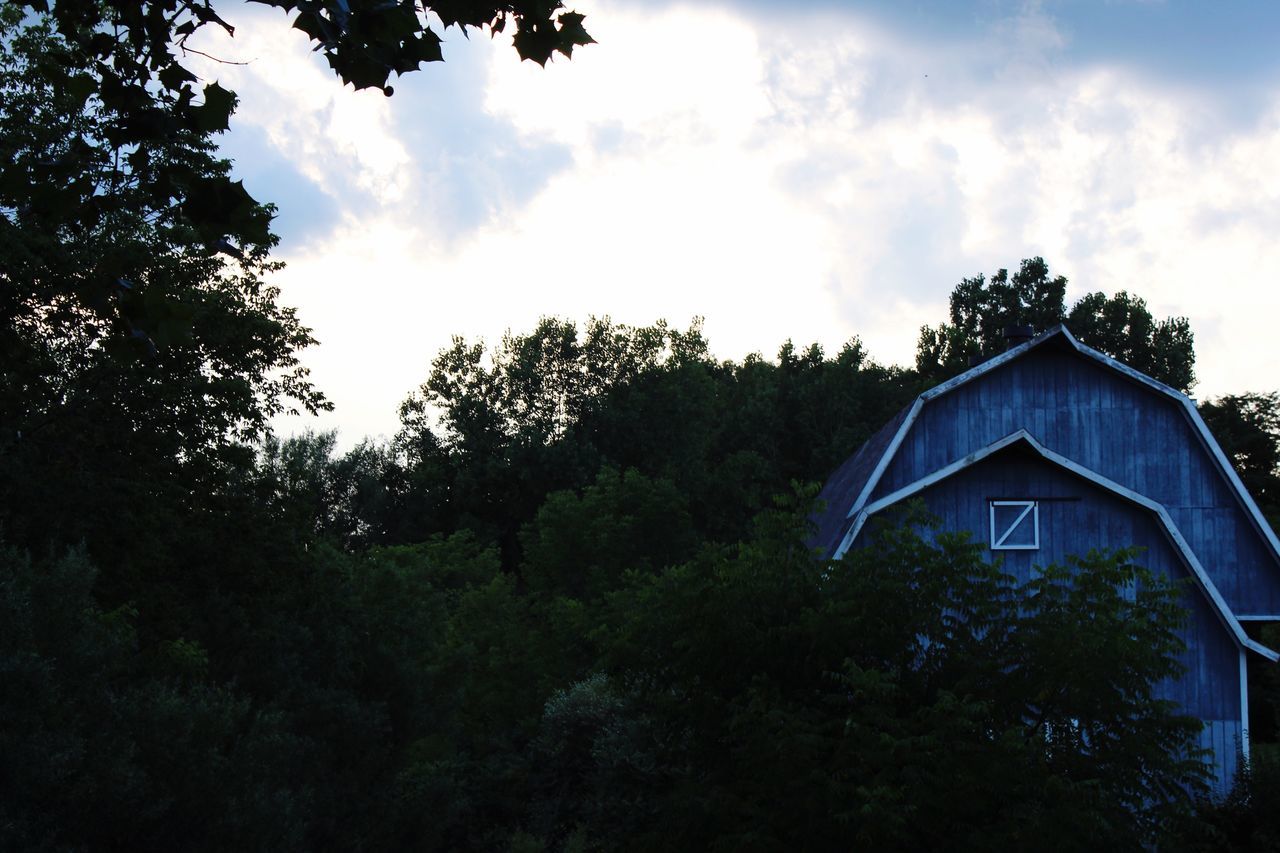 LOW ANGLE VIEW OF HOUSE AND TREES AGAINST SKY