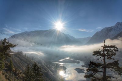 Sunlight streaming through trees against sky on sunny day