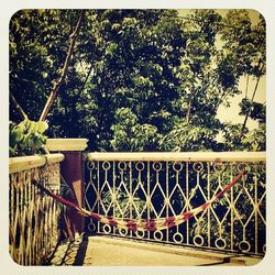 Railing with trees in background