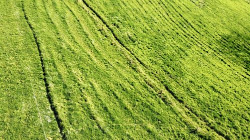 Full frame shot of agricultural field