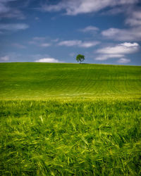 Marche countryside