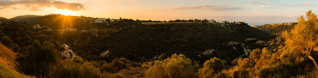 Panoramic view of trees against sky during sunset