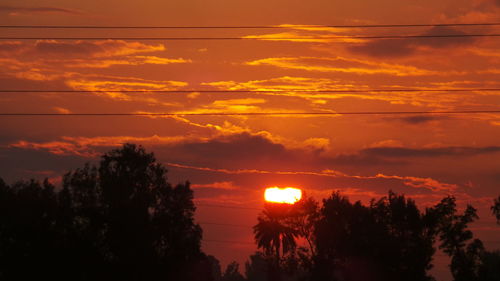 When the sun goes down in the field among the trees