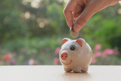 Close-up of person inserting coin in piggy bank on table