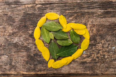 High angle view of yellow leaf on table