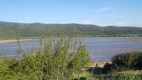 Scenic view of field by lake against sky